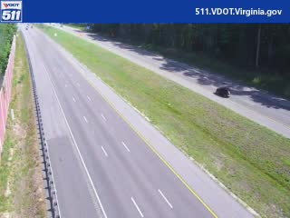 Minute 49