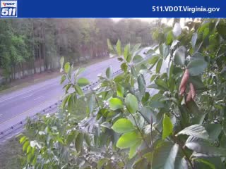 Minute 41